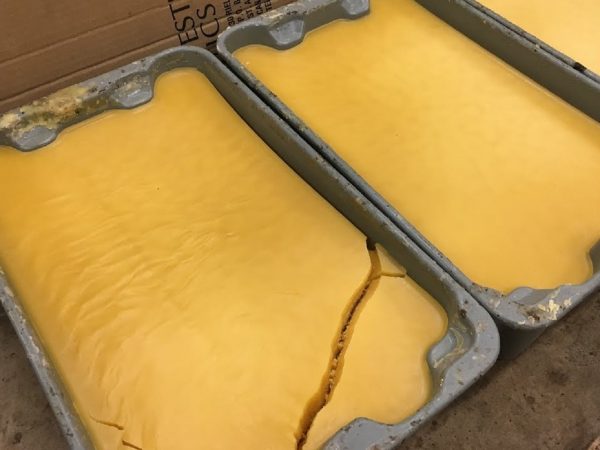 Tại sao nến sáp ong lại bị nứt khi đang sử dụng