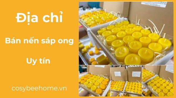 Top 5 Địa Chỉ Mua Nến Sáp Ong Tự Nhiên Uy Tín Tại Hà Nội