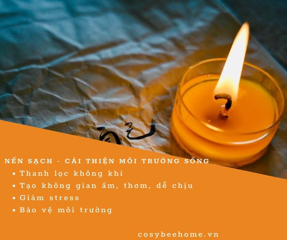 sáp ong an toàn cho trẻ em và người lớn tuổi