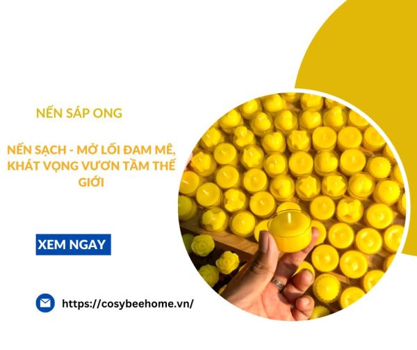 Nến sạch – Mở lối đam mê, khát vọng vươn tầm thế giới