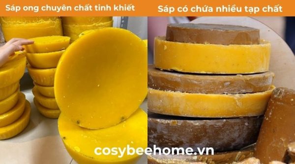 Sáp ong bao nhiêu tiền? Bảng giá sáp ong trên thị trường
