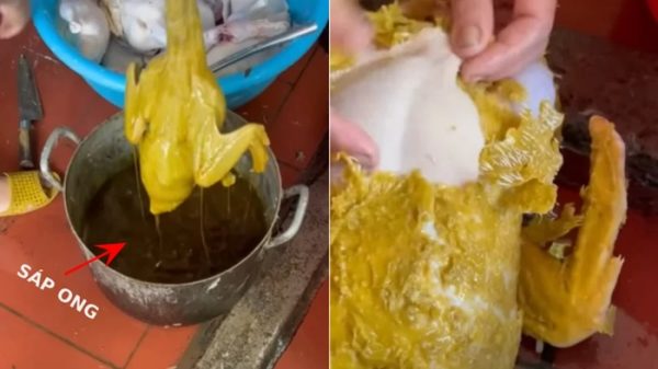 Sáp ong vặt lông vịt cực nhanh, cực sạch, sử dụng nhiều lần