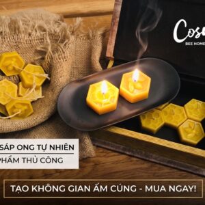Nến Mật Nguyên – Nến Sáp Ong Rừng Tealight Tổ Ong · Cháy 4h