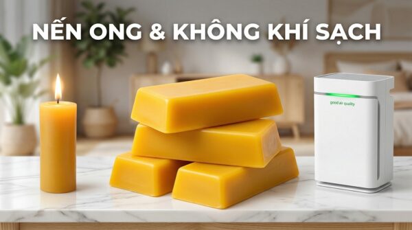 Nến Sáp Ong làm sạch không khí không? sự thật khoa học mà bạn cần biết trước khi tin